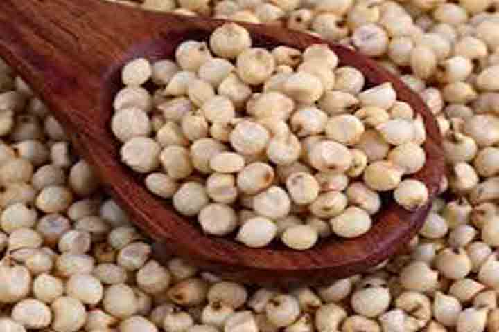 Grains